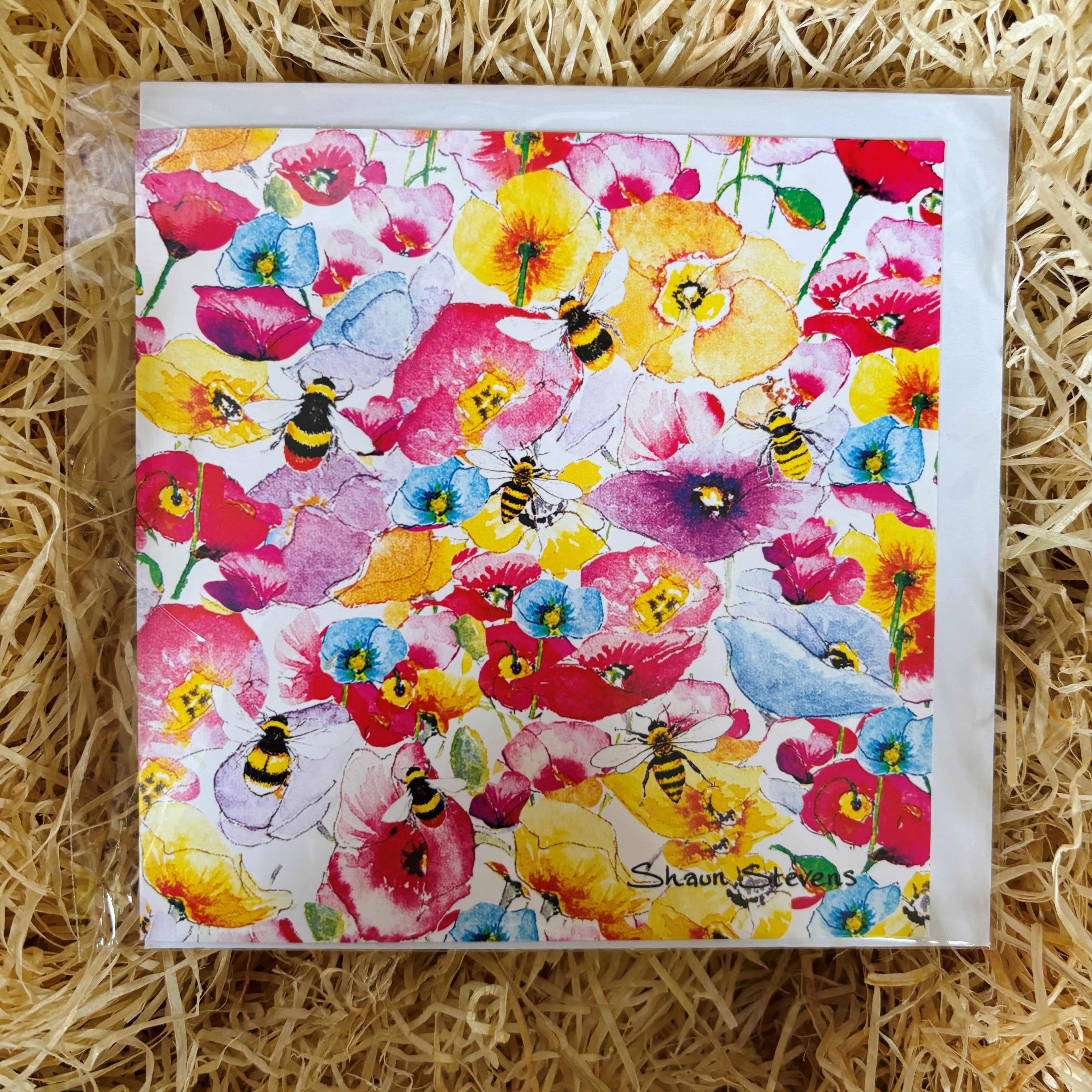 Card Illustrated by Shaun Stevens