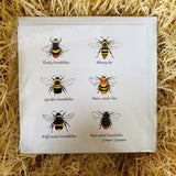 Shaun Stevens Square Greetings Card