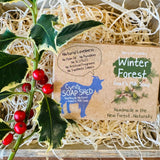 Cyril's Soapshed Winter Forest