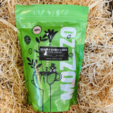 Medium Roast Coffee Beans Ground and Roasted in Southampton 