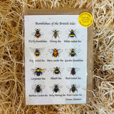 Shaun Stevens Seed Greetings Card