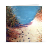 Sandra Binney Artist - Salty Air