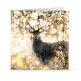 Sandra Binney Greetings Card